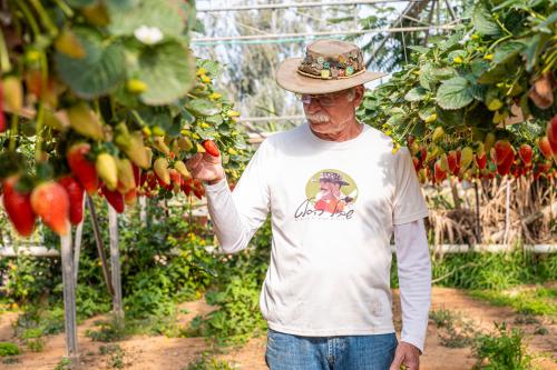 החברים-של-נטע-191225--1030